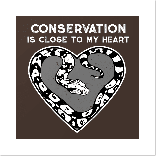 Boa Constrictor Conservation Heart Wall Art by Peppermint Narwhal